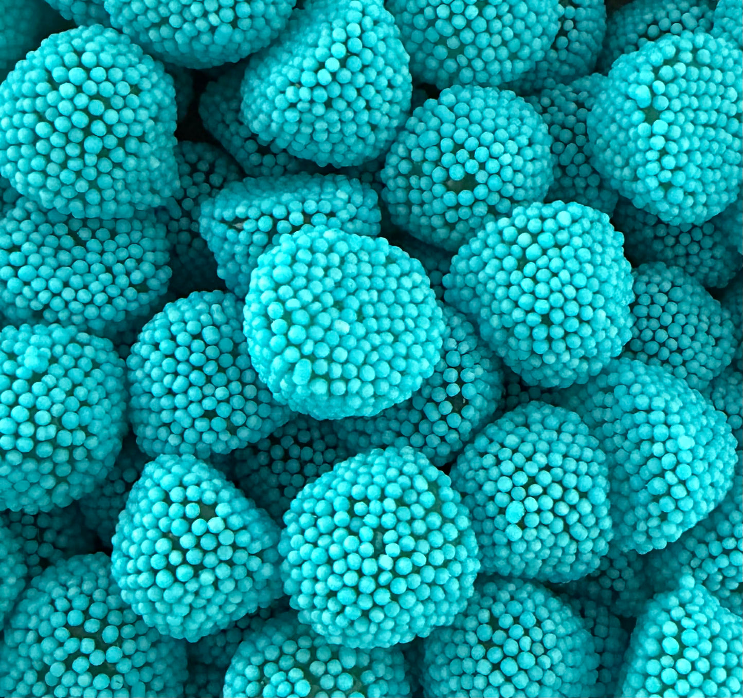 Mûres perlées bleues